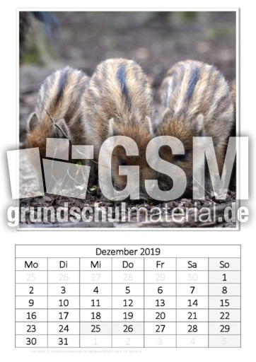 Dezember_Frischling.pdf